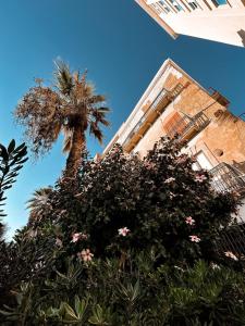 Il Mozzo e lAmmiraglio - Mozzo