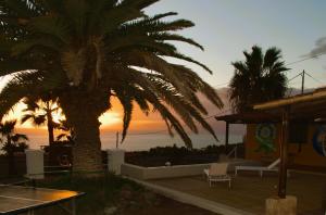 The Tree House Surf Camp