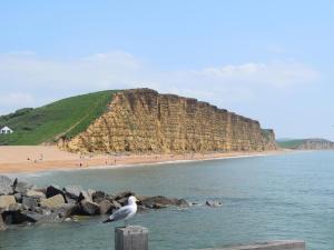 3 Bed in Bridport oc-dc160