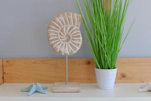 de Seedüwel Carna 101