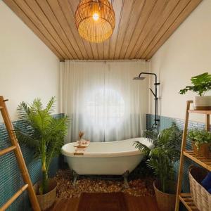 Lastsearesort ลาสซี รีสอร์ท