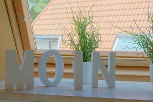 SV4 Lale Andersen 24 - Buhne 24