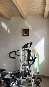 Jungle Holiday Villa