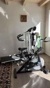 Jungle Holiday Villa