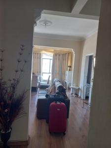 Apê com linda vista do Rio e ótima localização