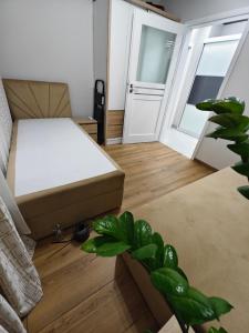 Apartament 3 pokojowy Łobez