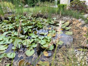 Appartement mit eigenem Zugang in Pattensen Mitte-Nord