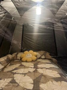 Stay Like a Local เต็นท์บ้านเรา