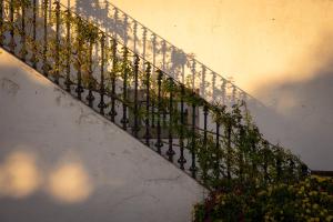 Eighteen21 Houses - Casa dos Condes