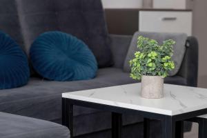 Comfortable Apartment with Access to the Gym and Parking by Noclegi Renters