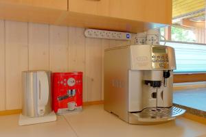 KW21a Ferienhaus Silbermöwe