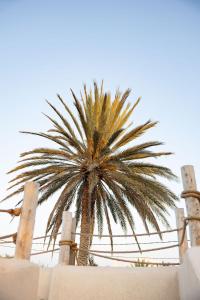 Maison Flamingo - Boutique hôtel