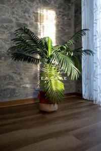 Faias House by Escape to Madeira