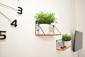 Marylebone Central Studio - 8