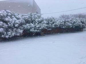 Welcome dear guests!