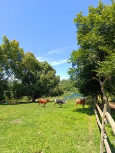 Kleine Croft Farm Cottage