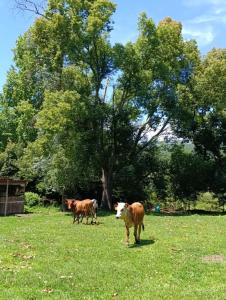 Kleine Croft Farm Cottage