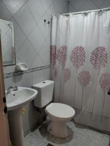 Alquileres Puerto Santa Cruz