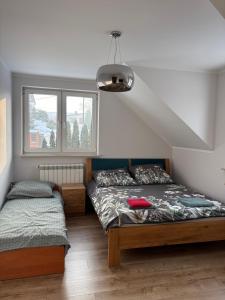 Biebrzańska Dolina 1