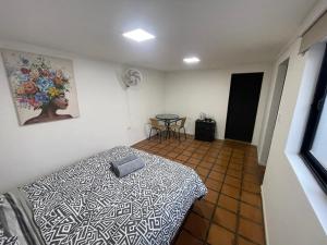 Suite Privada con Jacuzzi, Centro de Curicó, Ideal Parejas
