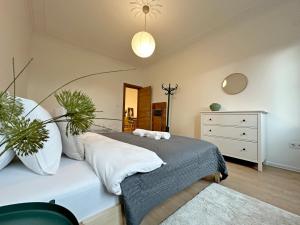 Spacious bright cozy 2BDR fast Wi-Fi next to Park