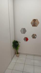 Appartement entier 2 chambres au coeur dAvignon