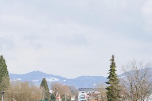 ApartWehr Business & Ferien Apartment Braun