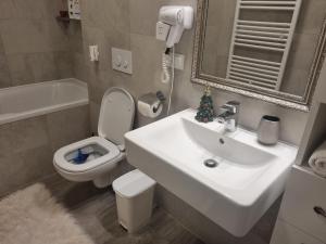 Coresi View Apartment