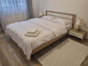 Coresi View Apartment