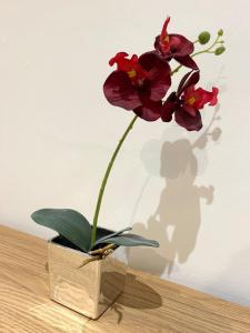 Cosy flat Lytham St Annes - Sleeps 2 with parking