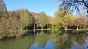 GITE CHATAIGNIER Mas du Ponteil
