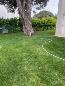 Valamar Luxury Villa