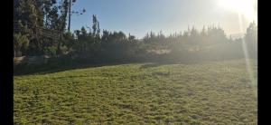 Casa en parcela con piscina en Valle del Elqui