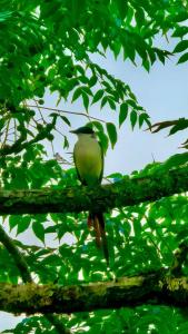 Rancho Vô João - Espaço para Momentos Incríveis