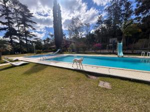 Estação Alto da Serra