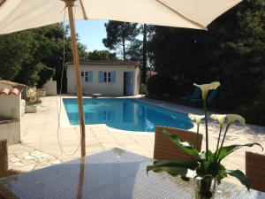 Jardin Arboré, Belle Maison Piscine