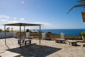 The Tree House Surf Camp