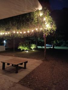 Hermosa Casa En Balneario Zagarzazú