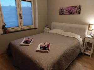 Lavender guestroom Hasselt, close to centre and trainstation