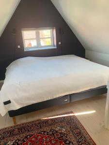 Beautiful and charming house in Odense City