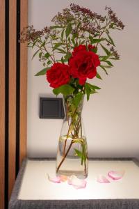 Modern apartment with mountain views