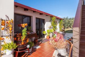 Agriturismo Azzarone