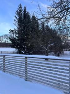 Sofias Lovely Little House