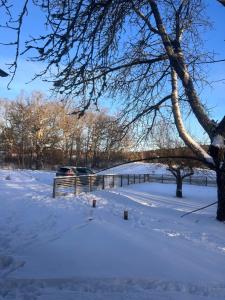 Sofias Lovely Little House