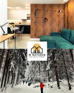 W Naturze - Apartament dla Aktywnych z Widokiem na Las, Szlaki, Rowery, Biegówki, blisko Jakuszyc i Czech