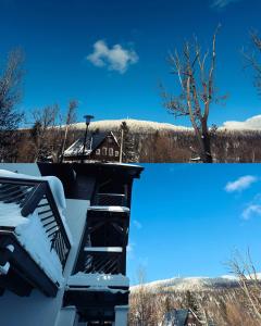 W Naturze - Apartament dla Aktywnych z Widokiem na Las, Szlaki, Rowery, Biegówki, blisko Jakuszyc i Czech