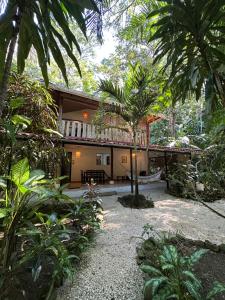 Colibri Apartments - Private kitchen & bathroom - 4 min walk to the Beach!