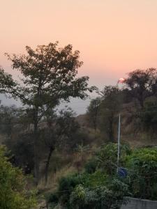 Entire Private Duplex 4 Bedroom Home