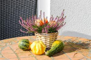 Apartment Nature & Friends