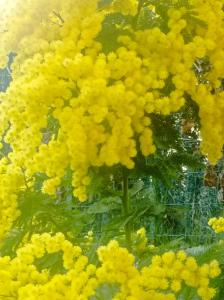 Appartement rez de jardin villa proximité plage et centre